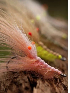 Ahrex NS150 Curved Shrimp 8 Ahrex NS150 Curved Shrimp -Beste Fiskebutikk 1F8A8EC0 3EC6 43BB AA74 A3A7CE31505F