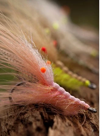 Ahrex NS150 Curved Shrimp 5 Ahrex NS150 Curved Shrimp - Bilde 3