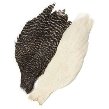 Veniard Genetic Hen Cape 3 Veniard Genetic Hen Cape