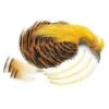 Veniard Golden Pheasant Complete Head And Neck -Beste Fiskebutikk 38159 Veniard golden phesant complete head and nec 1