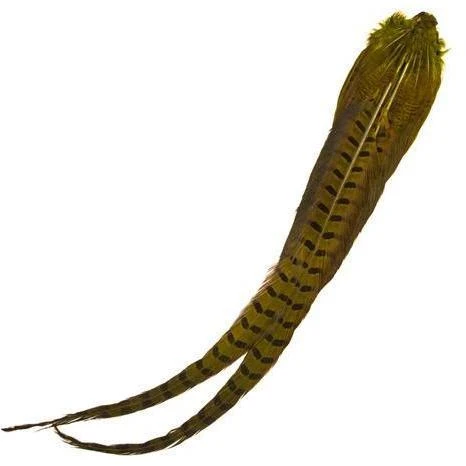 Veniard Fasan Hale 3 Veniard Fasan Hale