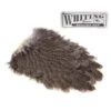 Whiting Brahma Hen -Beste Fiskebutikk 39773 Whiting Brahma Hen 1