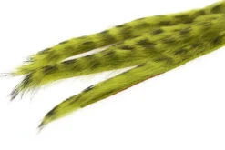 Flyco Rabbit Zonker Strips 3mm -Beste Fiskebutikk 3 Mm Rabbit Barred Zonkerstrip Lt.Olive