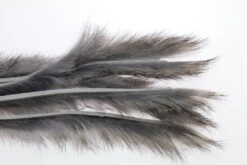 Flyco Rabbit Zonker Strips 3mm -Beste Fiskebutikk 3 Mm Rabbit Zonkerstrip Gray