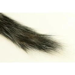 The Fly CO Ekornhale