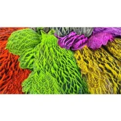 FutureFly Freshwater Capes