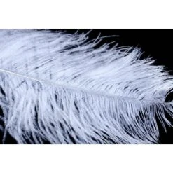 FutureFly Giant Ostrich