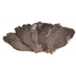 Keough Saltwater Cape