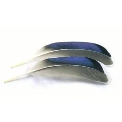 Veniard Mallard Duck Wing Quills