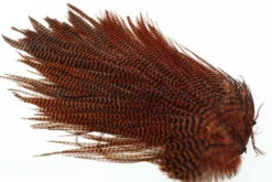 Ewing Rooster Saddle (Flatwing) -Beste Fiskebutikk Ewing Burned Orange Grizzly Saddles