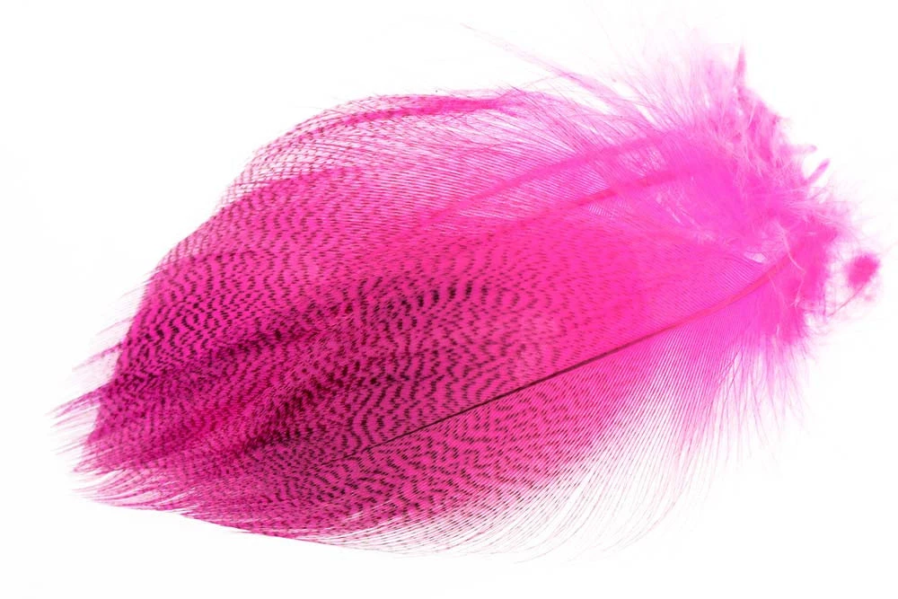 Flyco Gadwall Barred Flank 4 Flyco Gadwall Barred Flank - Bilde 2