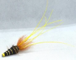 Frances Tube -Beste Fiskebutikk Francesblack1 d99d74c8 2f9b 438d a4c5 ea984477a224