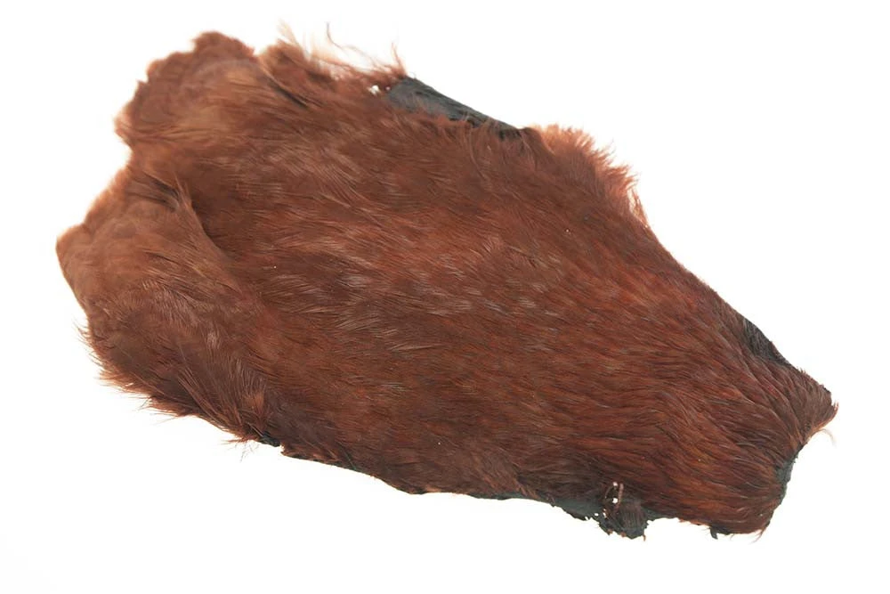 Salmon Hen Neck 4 Salmon Hen Neck - Bilde 2