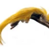 Veniard Golden Pheasant Topping Crest 1 Veniard Golden Pheasant Topping Crest -Beste Fiskebutikk L GPToppingCrestNo.1