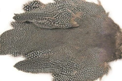 Veniard Perlehøne Skinn/ Guinea Fowl Skin