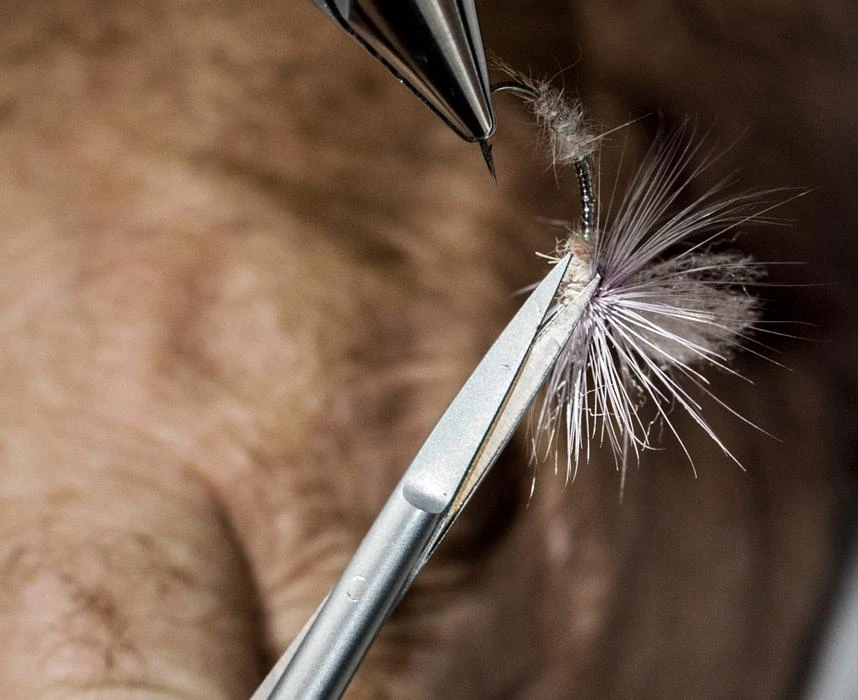 Renomed Sakser 5 Renomed Sakser - Bilde 3