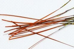 Hand Stripped Peacock Quills -Beste Fiskebutikk OLE 5285