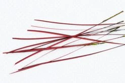 Hand Stripped Peacock Quills -Beste Fiskebutikk OLE 5286