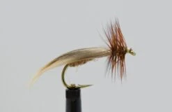 Fluebindernes Europea 12