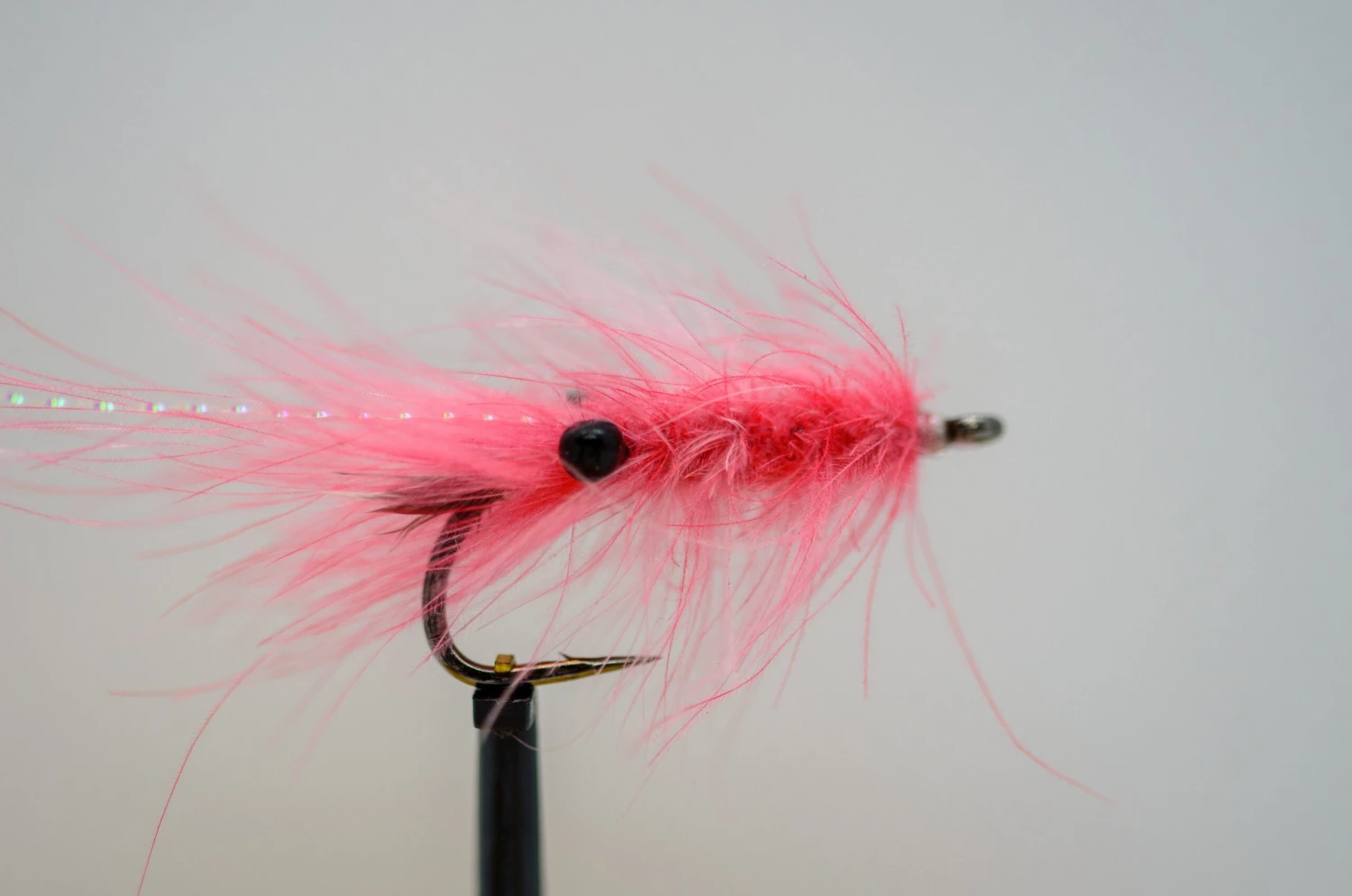 Midgar CDC Shrimp 5 Midgar CDC Shrimp - Bilde 3