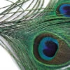 Veniard Peacock Eye Tops
