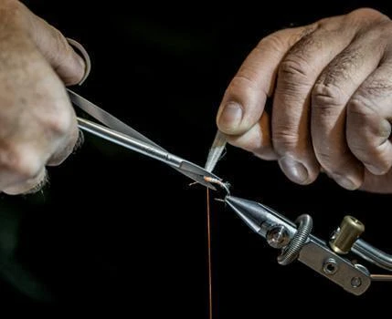 Renomed Sakser 4 Renomed Sakser - Bilde 2