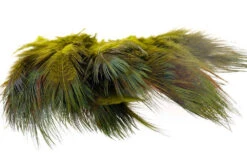 Flyco Ringneck Rump Hackle -Beste Fiskebutikk Ringneck 20Rump 20Hackler 20 20Olive