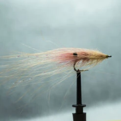CDX Spey