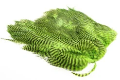 Flyco Keough Softhackle Patch 35 Flyco Keough Softhackle Patch -Beste Fiskebutikk Soft Hackle Patch Gz. Chartreuse