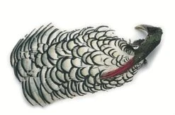 Diamant Fasan (Amberherst)