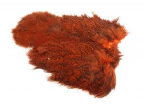 Whiting Coq De Leon Hen Soft Hackle With Chicabou