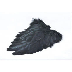 FutureFly Hen Saddles 7 FutureFly Hen Saddles -Beste Fiskebutikk american saddle black 1