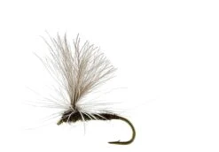 Baetis Dun Olive