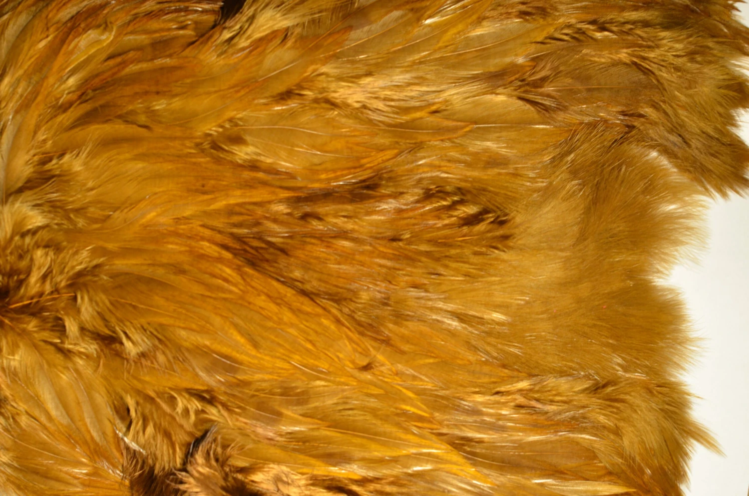 Flyco Keough Softhackle Patch 14 Flyco Keough Softhackle Patch - Bilde 12