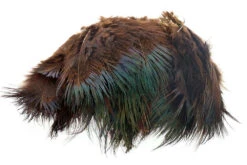 Flyco Ringneck Rump Hackle -Beste Fiskebutikk chocolate brown 938dee9b 477d 4d68 8531 e1447406c1a2