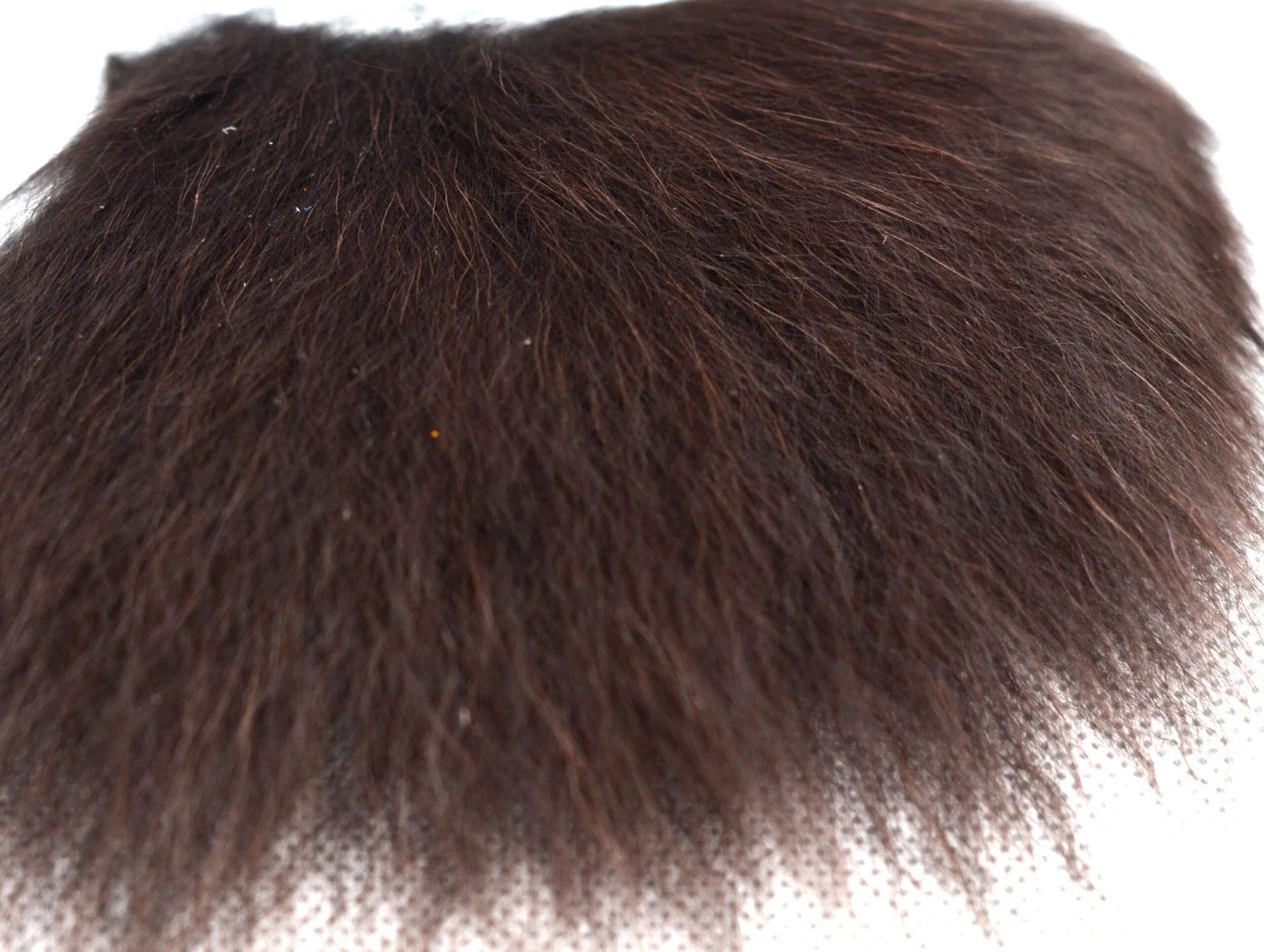 Orkla Fur & Feather Tempel Dog 15 Orkla Fur & Feather Tempel Dog - Bilde 13