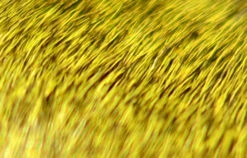 Veniard Deer Hair Dyed 19 Veniard Deer Hair Dyed -Beste Fiskebutikk died olive