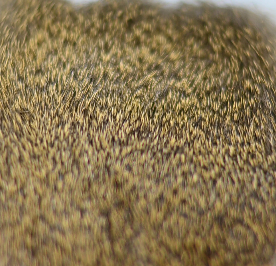 Veniard Deer Hair Dyed 12 Veniard Deer Hair Dyed - Bilde 10