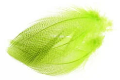Flyco Mallard Barred Flank Feathers