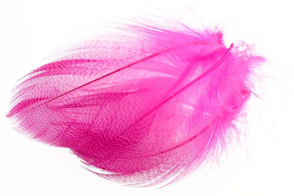 Flydressing Mallard Barred Flank 4 Flydressing Mallard Barred Flank - Bilde 2