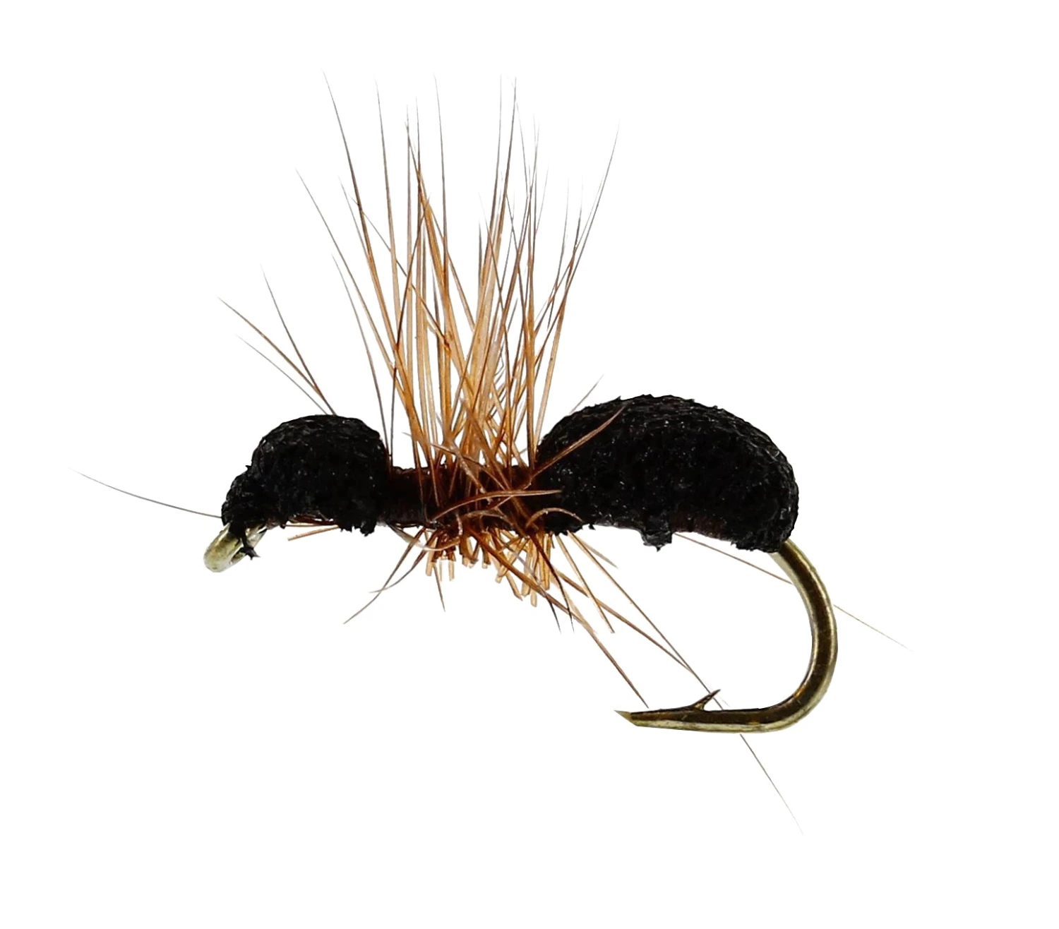 Foam Maur 3 Foam Maur