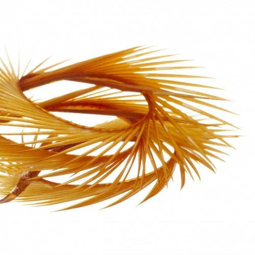 Semperfli Goose Biots 20 Semperfli Goose Biots - Bilde 18