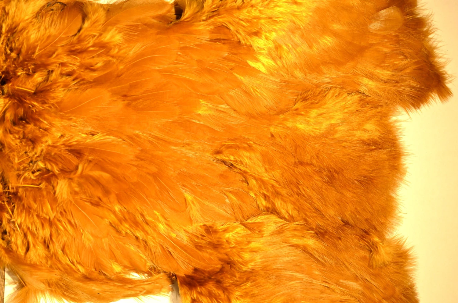 Flyco Keough Softhackle Patch 7 Flyco Keough Softhackle Patch - Bilde 5