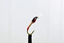 Fluebindernes Glassbuzzere