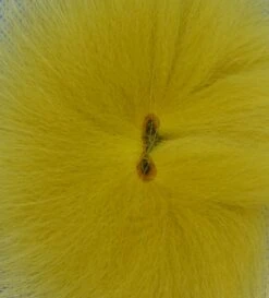Orkla Fur & Feather Foxtail -Beste Fiskebutikk golden olive 08413536 2351 467d b0c1 cc8a0c45122c