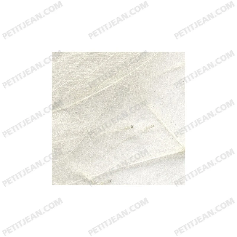 Marc Petitjean CDC 4 Marc Petitjean CDC - Bilde 2