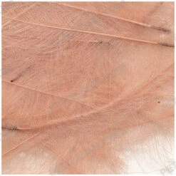 Marc Petitjean CDC 12 Marc Petitjean CDC -Beste Fiskebutikk image 953b8e26 088d 4098 88a6 052496911ac5