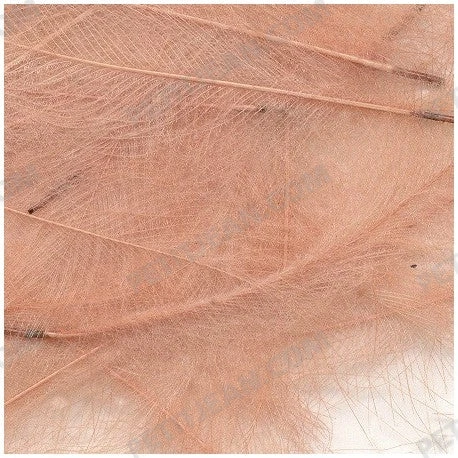 Marc Petitjean CDC 6 Marc Petitjean CDC - Bilde 4