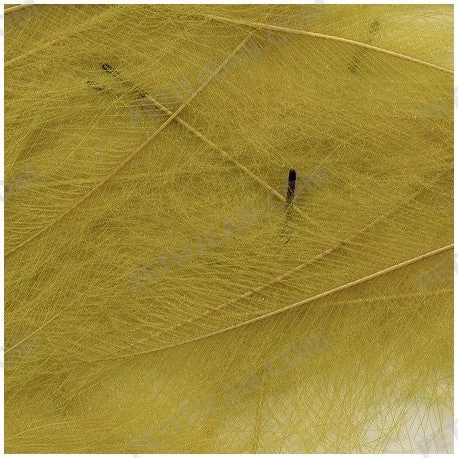 Marc Petitjean CDC 7 Marc Petitjean CDC - Bilde 5