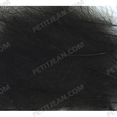 Marc Petitjean CDC 5 Marc Petitjean CDC - Bilde 3